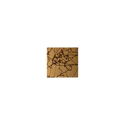 玫瑰金镜面蚀刻乱纹不锈钢板 玫瑰金拉丝蚀刻乱纹不锈钢板图1
