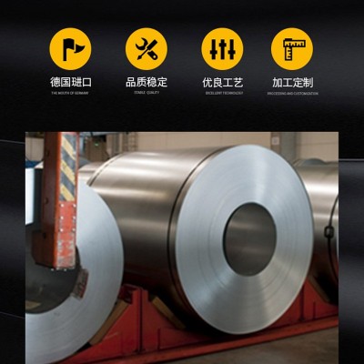 RISSE-WILKE德国不锈钢带 高硬度HC180-HC420冷卷微合金钢带图3