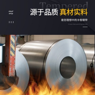 RISSE-WILKE德国不锈钢带 高硬度HC180-HC420冷卷微合金钢带图4