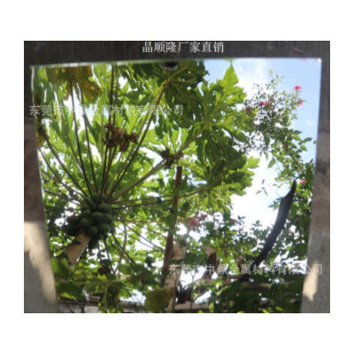 430镜面板 镜面导光板 镜面医疗器械材料 0.05mm超薄镜面不锈钢板图4