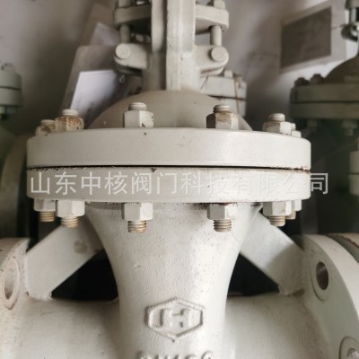 Z41H-16C铸钢法兰闸阀 高温蒸汽导热油锅-炉阀门DN100图3