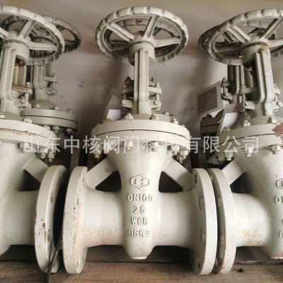 Z41H-16C铸钢法兰闸阀 高温蒸汽导热油锅-炉阀门DN100图4