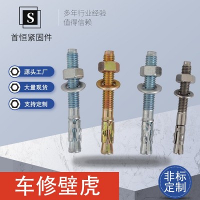 车修壁虎电梯不锈钢膨胀螺丝车修螺丝花式膨胀螺栓现货供应图2