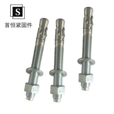 车修壁虎电梯不锈钢膨胀螺丝车修螺丝花式膨胀螺栓现货供应图4