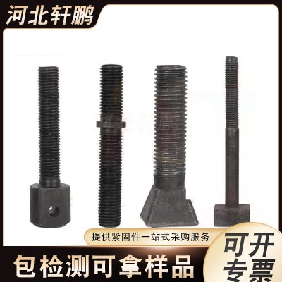 不锈钢异型螺栓 非标螺栓 异形件特殊异形螺栓 厂家来图来样 异型 螺丝图5