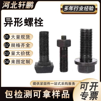 不锈钢异型螺栓 非标螺栓 异形件特殊异形螺栓 厂家来图来样 异型 螺丝图2