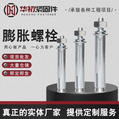 国标镀锌膨胀螺丝拉爆螺丝铁膨胀加长膨胀螺栓不锈钢膨胀螺丝批发