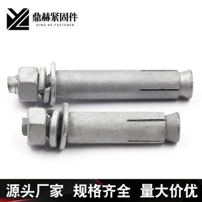 供应热镀锌膨胀 M10光伏热镀锌膨胀螺丝 热浸锌膨胀螺栓 拉爆螺丝图4