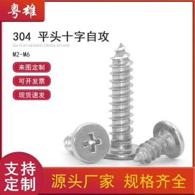 304不锈钢GB846平头十字自攻螺丝CA薄头螺钉木头塑料自攻螺丝钉图1