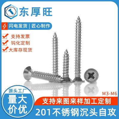东厚旺201不锈钢十字沉头自攻螺丝KA M3-M6 十字槽平头螺钉紧固件图2