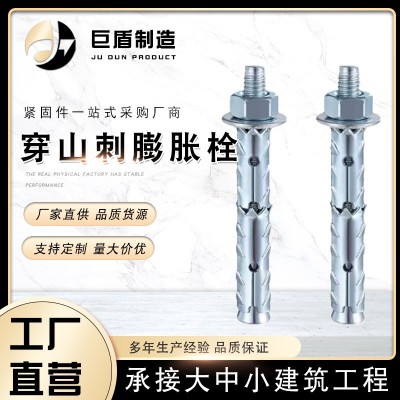 穿山刺砌块锚栓 空心气泡砖专用膨胀螺丝内/外十字沉头膨胀图2