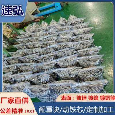 电磁阀配件 不锈钢材质纯铁铁芯 动铁芯 先导头组件 汽车配件图3