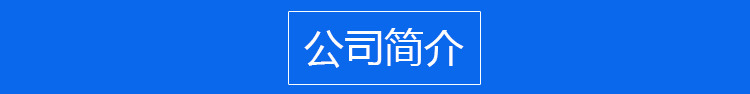 公司简介