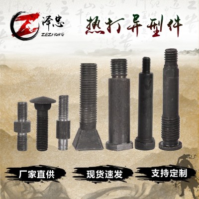 厂家供应 异型螺栓304不锈钢非标螺丝热打冷镦数控车床镀锌异型件图1