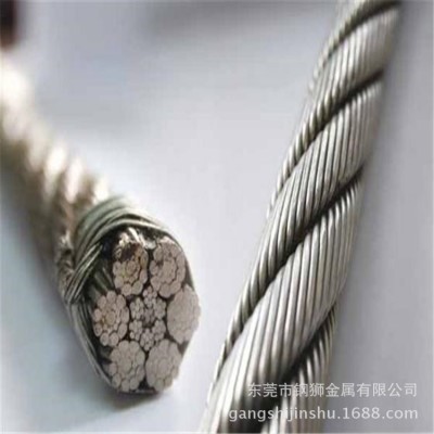304不锈钢钢丝绳 不锈钢丝绳 无磁钢丝绳 晾衣架钢丝绳 保险绳图5