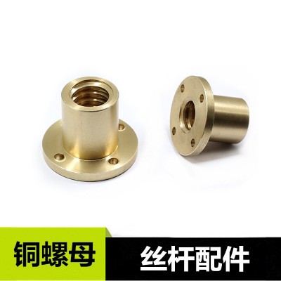 3D打印机丝杆TR12*2 T6 T10 T8 T12不锈钢304梯形螺纹丝杆铜螺母图2