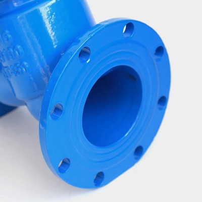 贵峰GL41H水用球墨铸铁法兰过滤器管道过滤dn80 100法兰Y型过滤器图4