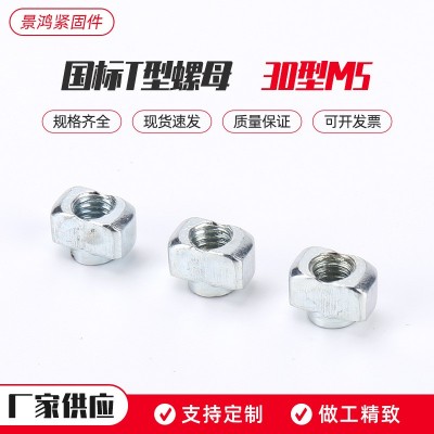工业铝型材配件国标T型螺母30型 M5T型螺母块螺丝船型螺栓20/30图2