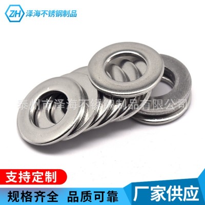 厂价310S 2520 S31008平垫 不锈钢耐 高温平垫 现货批发 量大价优图4