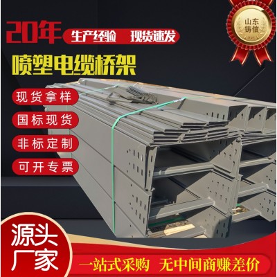 梯式热镀锌不锈钢防火桥架厂家铝合金热浸锌喷塑大跨距电 缆桥架槽图2