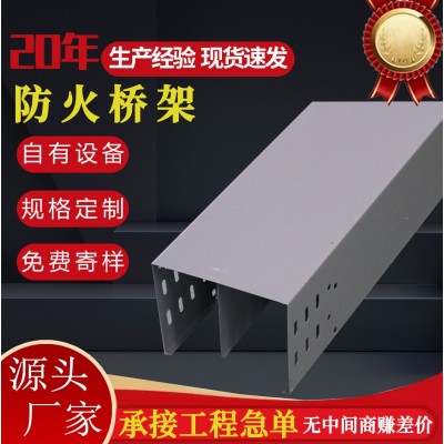 梯式热镀锌不锈钢防火桥架厂家铝合金热浸锌喷塑大跨距电 缆桥架槽图4