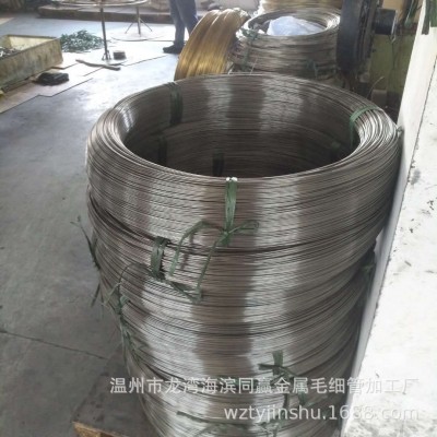 温州不锈钢精密毛细管 导线管 铅笔护心管 电池管 液体流量管