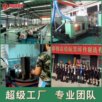 厂家供应穿墙止水螺栓 建筑工地固定模板对拉止水丝杆m1 4止水螺杆图4