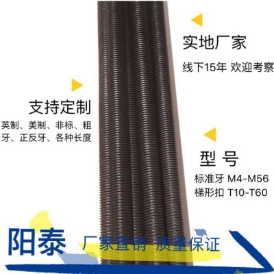 源头工厂 高强度丝杆 发黑加硬全牙螺杆8.8级10.9级12.9级丝杠图4