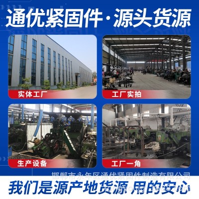 加工定制镀彩锌钻尾螺丝燕尾彩钢打铁瓦钉燕尾钻尾自攻自钻螺丝钉图2
