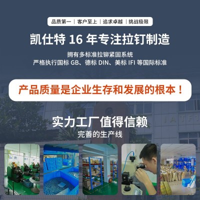 现货堵头铆钉 新能源制造行业专用堵油堵塞防水拉钉批发堵头铆钉图3