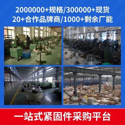 304不锈钢膨胀挂钩螺丝 膨胀螺栓吊勾吊环拉爆 弹簧挂 钩膨胀螺丝图4
