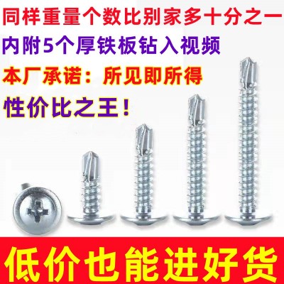 工厂十字圆头华司钻尾螺丝M4.2/M4.8燕尾螺丝自攻大扁 头钻尾螺钉图4