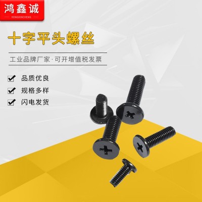 304不锈钢十字扁平头螺丝电子螺丝薄平头螺钉CM1M2-M3 -M6厂家批发图2