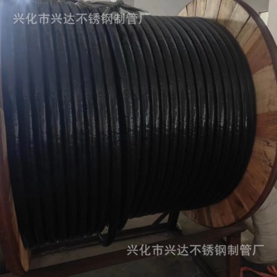304/316L不锈钢包塑盘管 保温管 电缆管 防腐盘管 多芯管图3