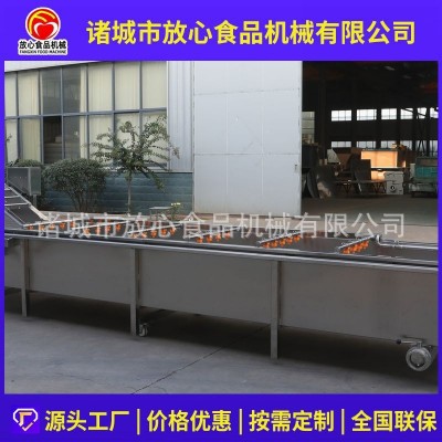 大型蔬菜清洗机 全自动不锈钢气泡清洗机 多功能果蔬喷淋 式清洗机图2