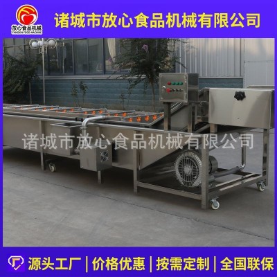 大型蔬菜清洗机 全自动不锈钢气泡清洗机 多功能果蔬喷淋 式清洗机图4