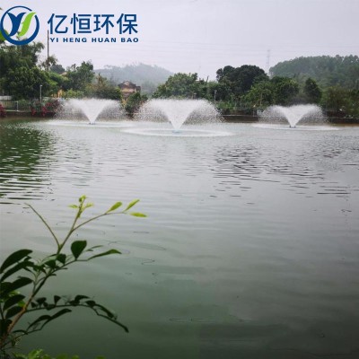 河道增氧机 增氧喷泉泵 不锈钢喷泉曝气泵图4