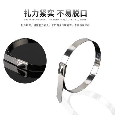 304自锁式不锈钢扎带厂家4.6-19船用设备固定捆扎带金属扎带钢带图2