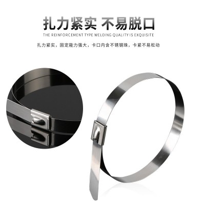 厂家批发201不锈钢扎带4.6~19mm白钢滚珠自锁式金属船 用抱箍扎带图4