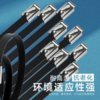 304喷塑不锈钢扎带4.6*300黑色金属扎带桥架束线带标牌电缆扎丝图3