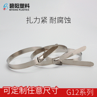 SS316不锈钢镶片工业电力工程捆绑固定包装G12系列自锁式金属扎带图1
