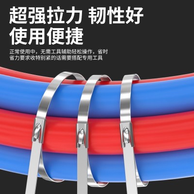 304不锈钢扎带自锁式金属扎带100条活扣桥架4.6*200mm 7.9mm 20mm图2