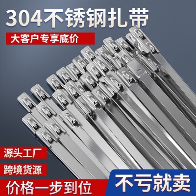 不锈钢扎带304耐高温捆绑带19宽16mm 19mm 10mm 12mm 100mm 300mm
