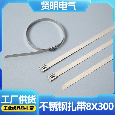 自锁式304不锈钢扎带 加工定制非标捆绑扎带阻燃耐高温卡扣批发图1