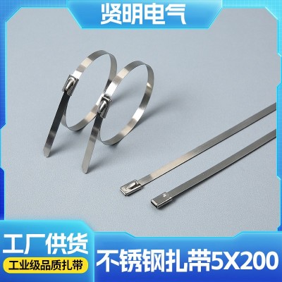 304不锈钢扎带束线带5*200 船用固定电缆金属扎丝不锈钢捆绑扎带图3