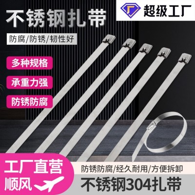 304自锁式不锈钢扎带厂家4.6~19船用设备固定捆扎带金属 扎带钢带图3