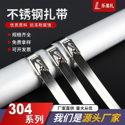 厂家批发生产304不锈钢扎带4.6*8*12*100*300耐腐磨船用金属白钢图3