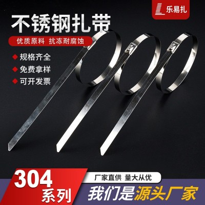 厂家批发生产304不锈钢扎带4.6*8*12*100*300耐腐磨船用金属白钢图2