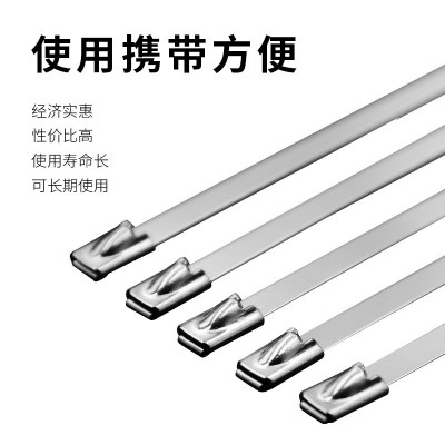 304不锈钢扎带4.6宽金属钢丝耐高温户外捆绑钢扎带固定捆扎带绑扎图2