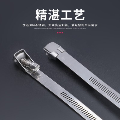 304活扣不锈钢扎带加厚加宽可拆卸重复使用卡扣加金属扎带1米喉箍图2
